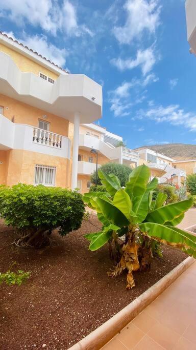 Golden Suite Ocean View & Pool Los Cristianos  Εξωτερικό φωτογραφία