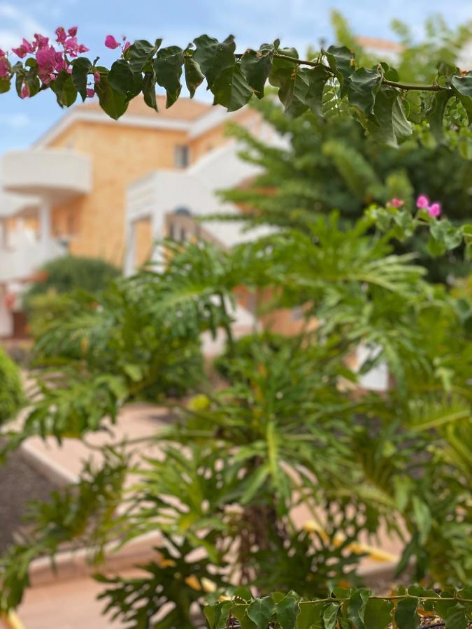 Golden Suite Ocean View & Pool Los Cristianos  Εξωτερικό φωτογραφία